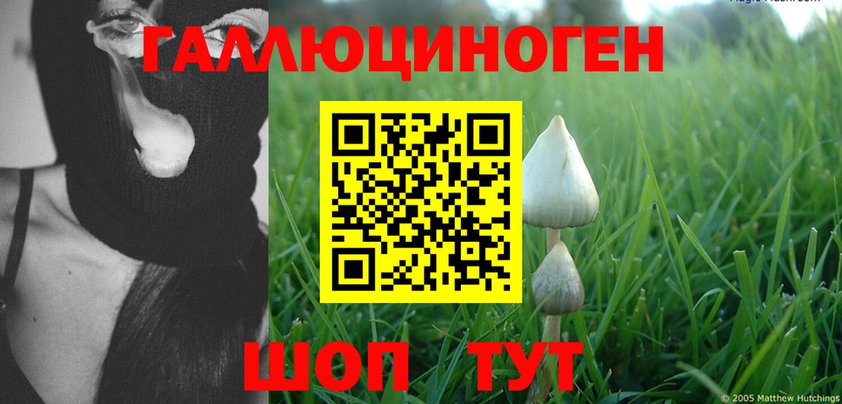 Галлюциногенные грибы MAGIC MUSHROOMS Нягань